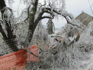 Žled 2014, foto M. Zver (21)